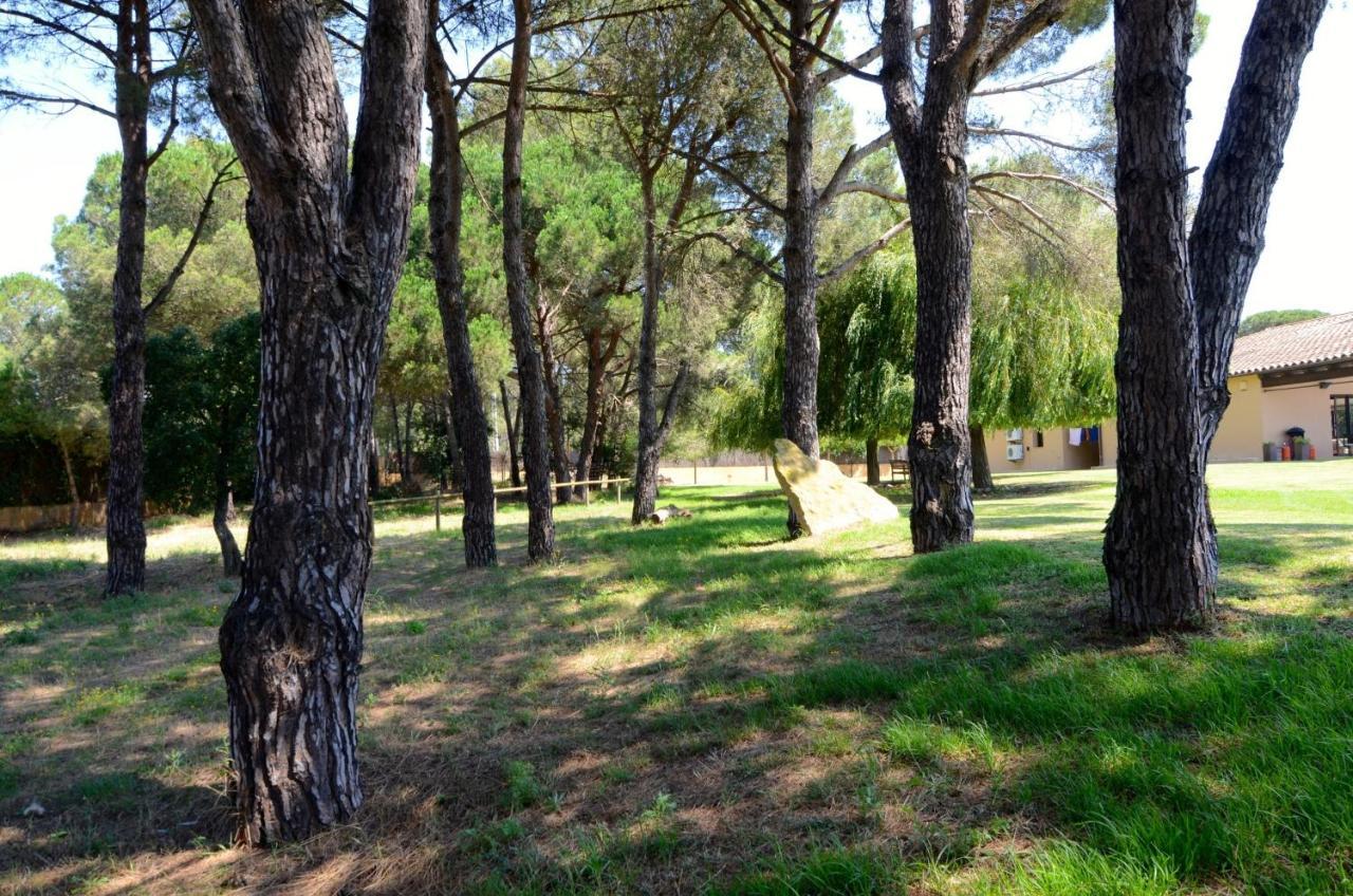 Villa Brugueres เบกูร์ ภายนอก รูปภาพ